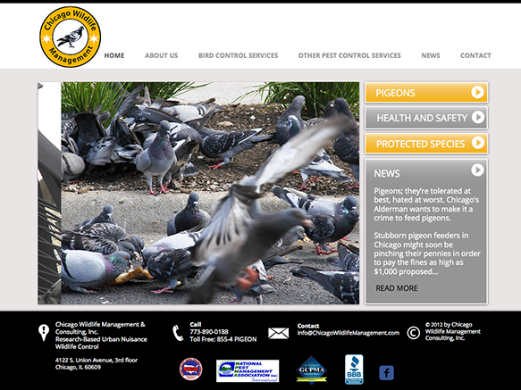 janet langhart cohen website design