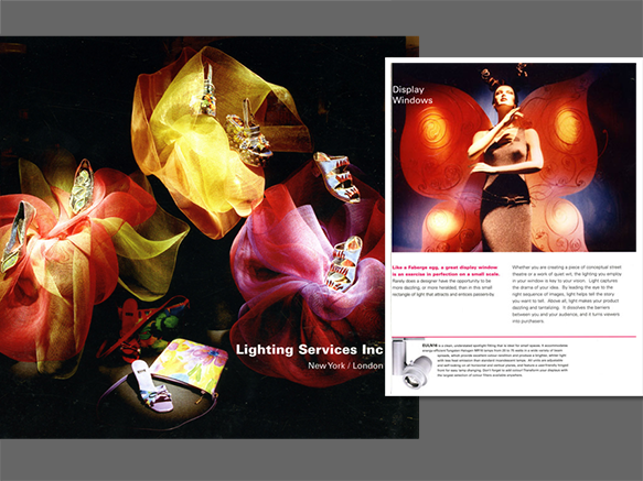 lsi catalog